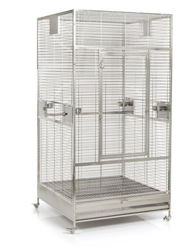 New stainless steel parrot - stainless,