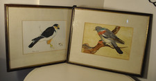 Bird Watercolour by  G Thomas-