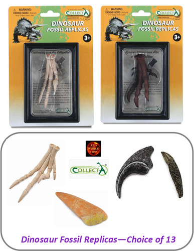 Dinosaur fossil replicas - dinosaur,