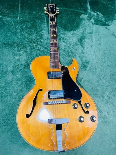 Guyatone hollow body - hollow,
