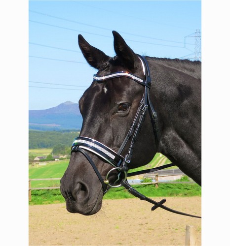 Fss crystal bridle - crystal, bling