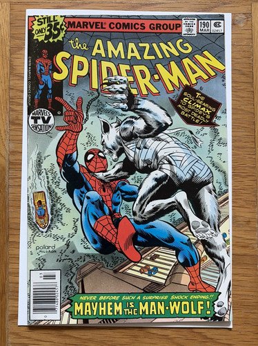 Amazing spider man - amazing, #190