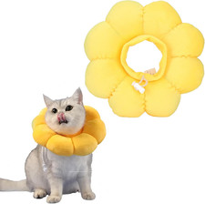 Cat Recovery Collar, Soft Cone