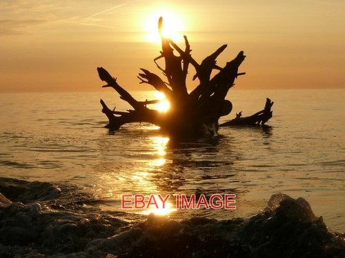 Photo the sea - photo,
