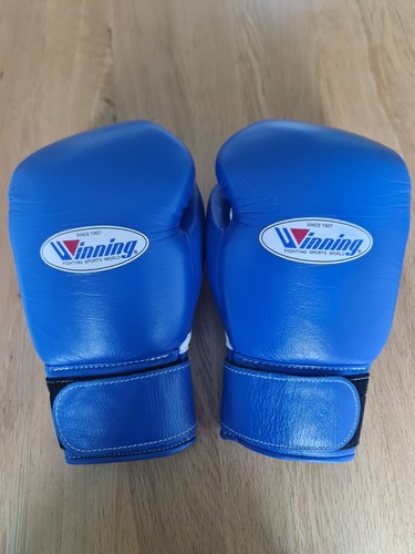 Authentic winning 300b - authentic, co-ms-300b