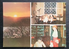 Vintage Postcard Unused A La