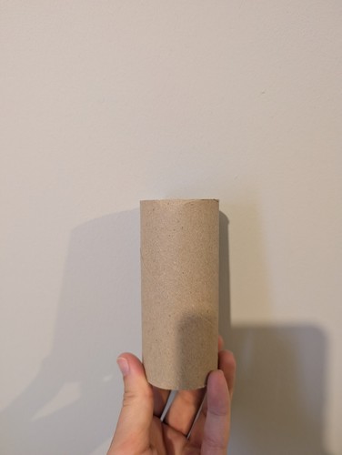 Empty toilet roll tubes - roll,