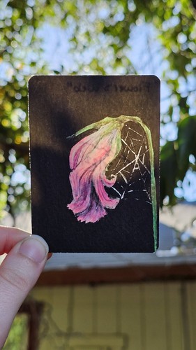 Aceo signed print - aceo,