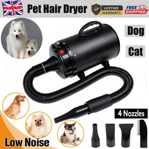 Pet hair dryer - set, cat