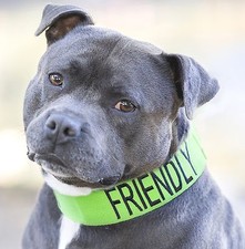 We Love Our Staffs Heavy Duty