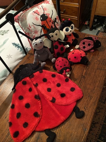 Ladybug ladybird job lot - ladybug,