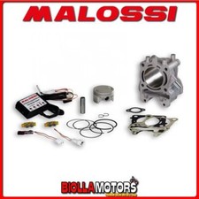 3117560 CYLINDER KIT MALOSSI