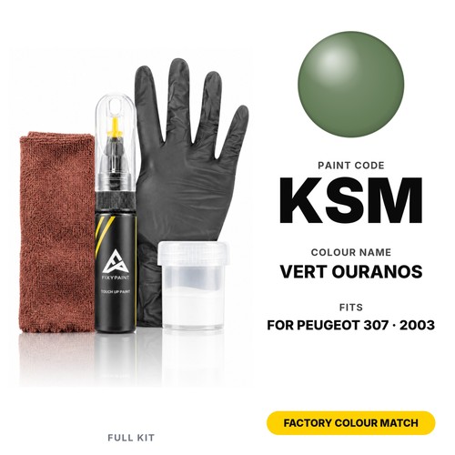 Touch paint for peugeot - up, 307