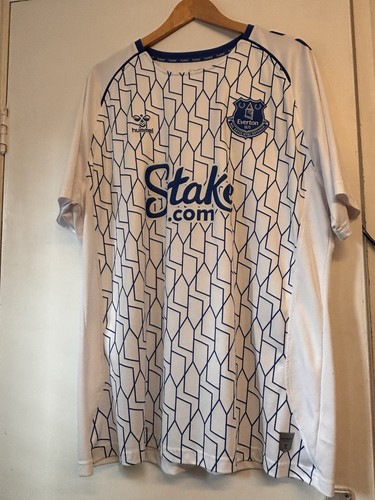 Everton men training shirt - men's,