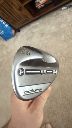 King cobra snakebite 10 - snakebite, sb