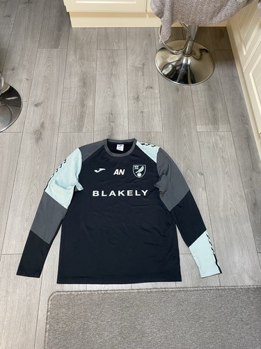 Norwich city match - norwich, worn