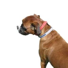 Norstar Biomagnetics - Adjustable - Arthritis - Large Pet Collar 26.5 cm – 39 cm