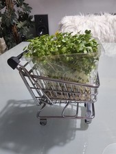 LIMITED EDITION M&S FOOD MINI