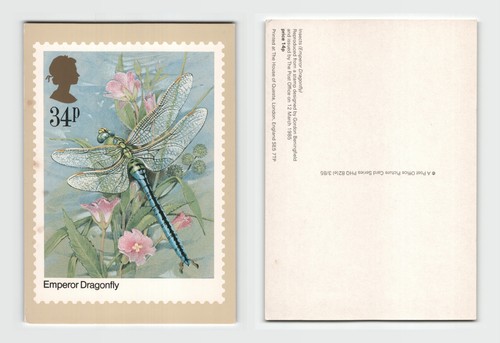 Postcard emperor dragonfly - emperor,