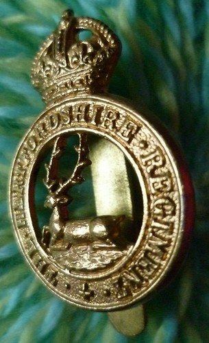 The hertfordshire regiment - the, cap
