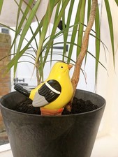 Terracotta plant pot self - pot,