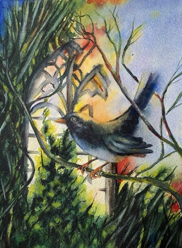 Watercour bird painting - bird,