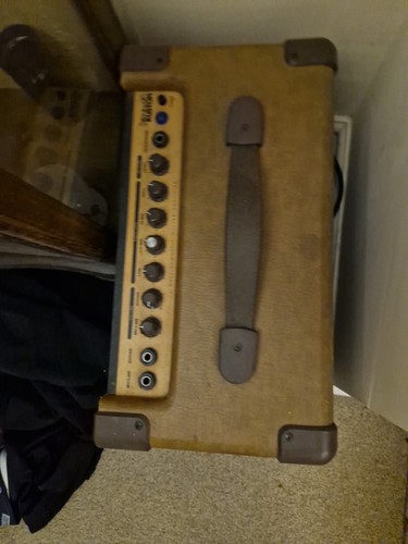 Acoustic guitar amplifier - guitar,