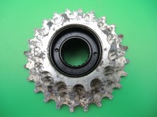 REGINA SYNCHRO S 7 SPEED