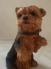 Barkers Yorkshire Terrier