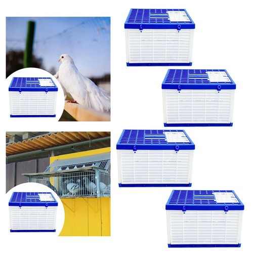 Foldable pigeon cage - pigeon, bird