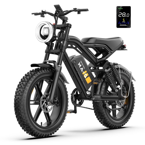 Fat tire adults - tire,