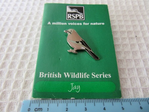 Rspb jay bird trifold - jay, on