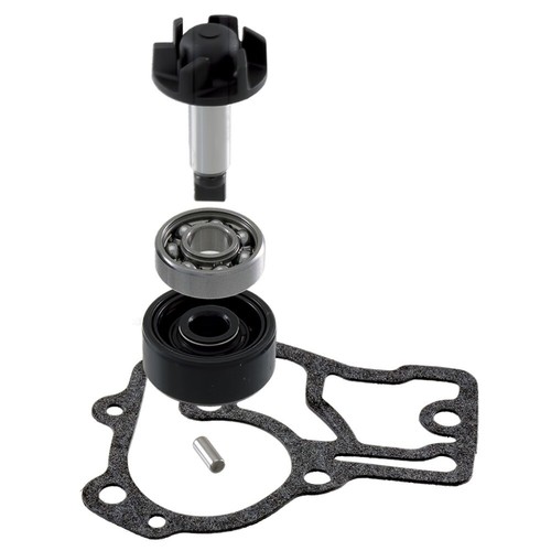 Water pump revision kit for - pump,