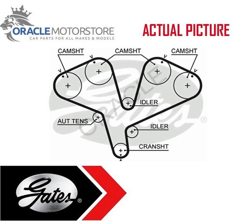 New gates timing - timing, belt