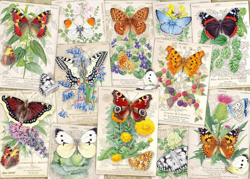 Wonder forge butterfly - wonder,