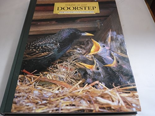 Wildlife your doorstep - wildlife,