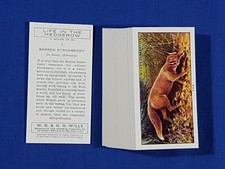 Will's REPRODUCTION Cigarette