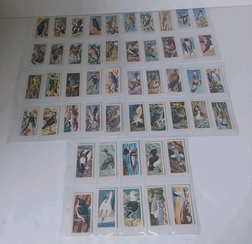 Brooke bond tea cards bird - cards,