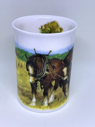 Boxed shire horses china - horses,