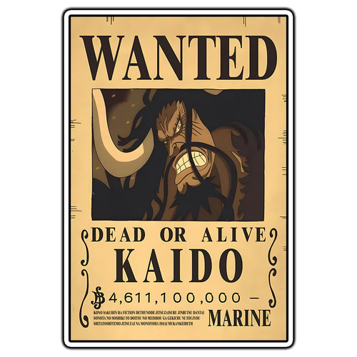 Kaido wanted posted one piece - wanted,