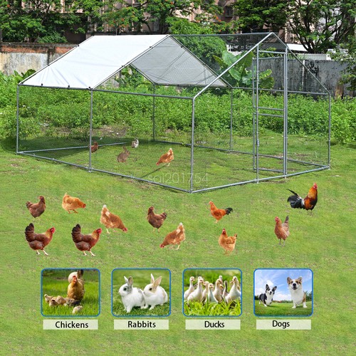 Duck coop walk chicken - coop, walk-in