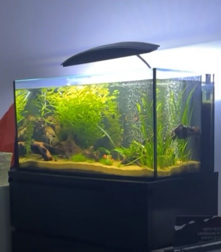 120l aquamanta nano - nano, led