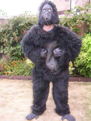 Halloween ape monkey adult - monkey,