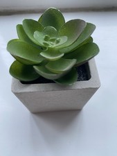 Mini Artificial Faux Succulent