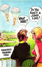 Postcard Vintage Saucy Seaside Humour  Bamforth Black Triangle No.650