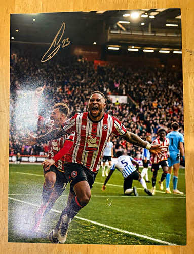 Sheffield united tyrese - sheffield,