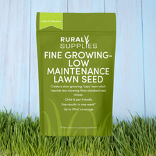 Fine Grass Seeds for Low