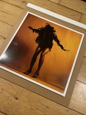 The Last Shadow Puppets –