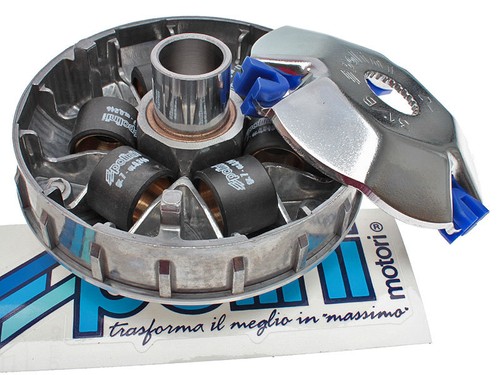 Variator polini - variator,