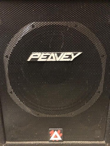 Peavey xt500 bass bins pair - xt500,